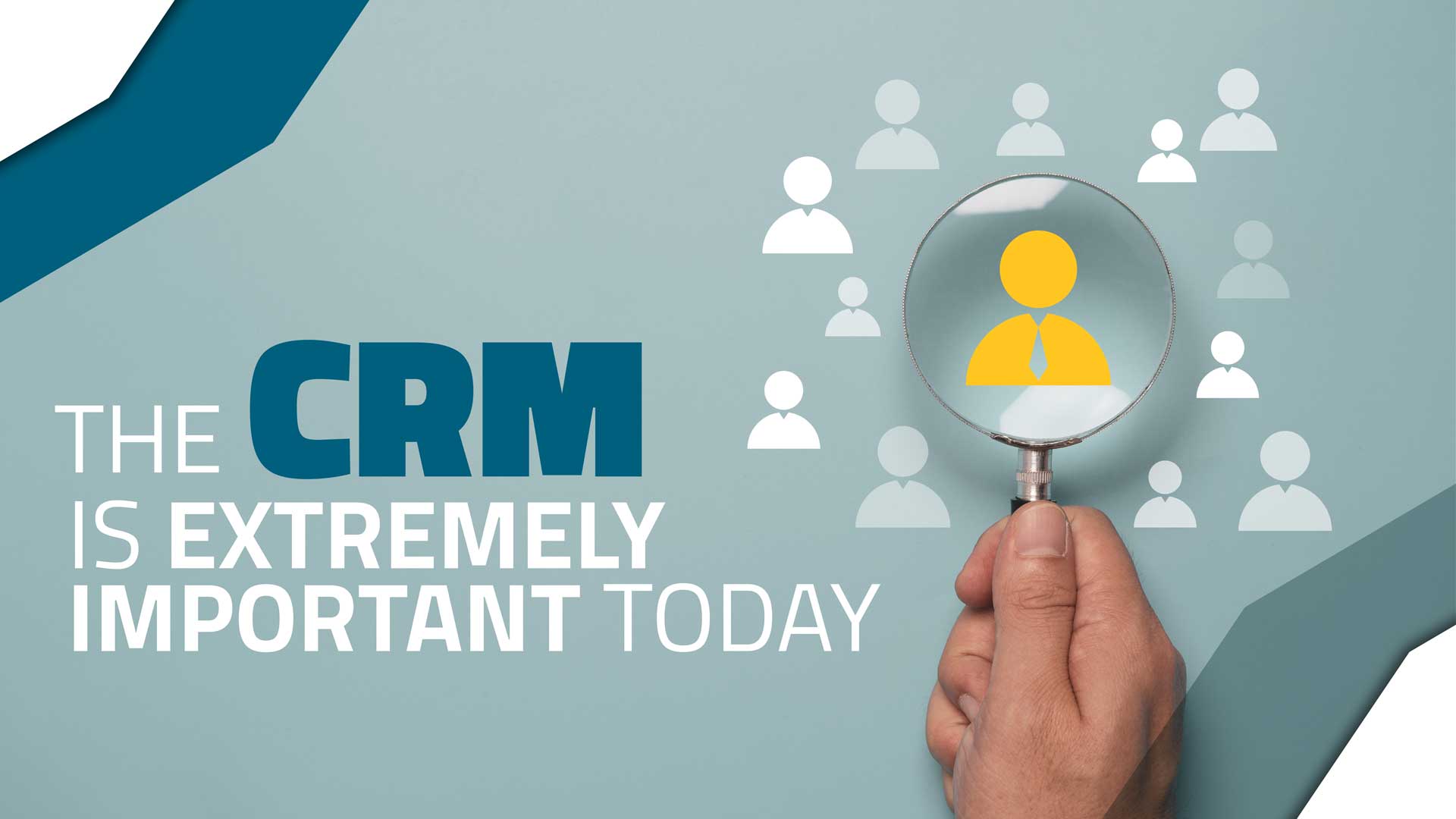 The Crm Is Extremely Important Today